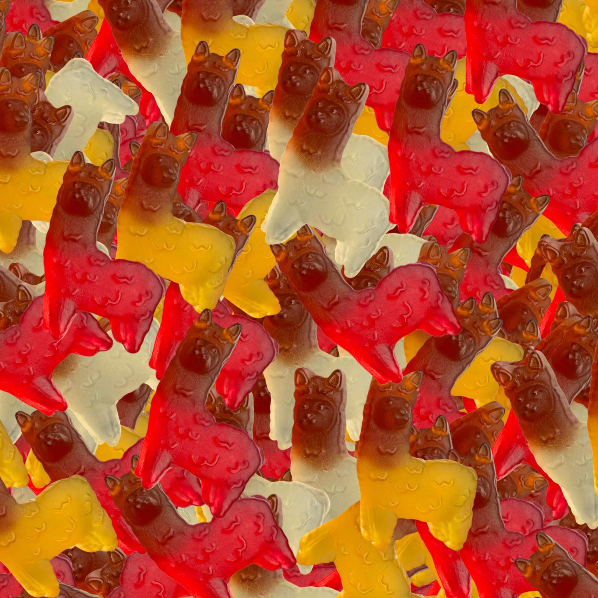 Al Paca Cola - 500 g (solange der Vorrat reicht)