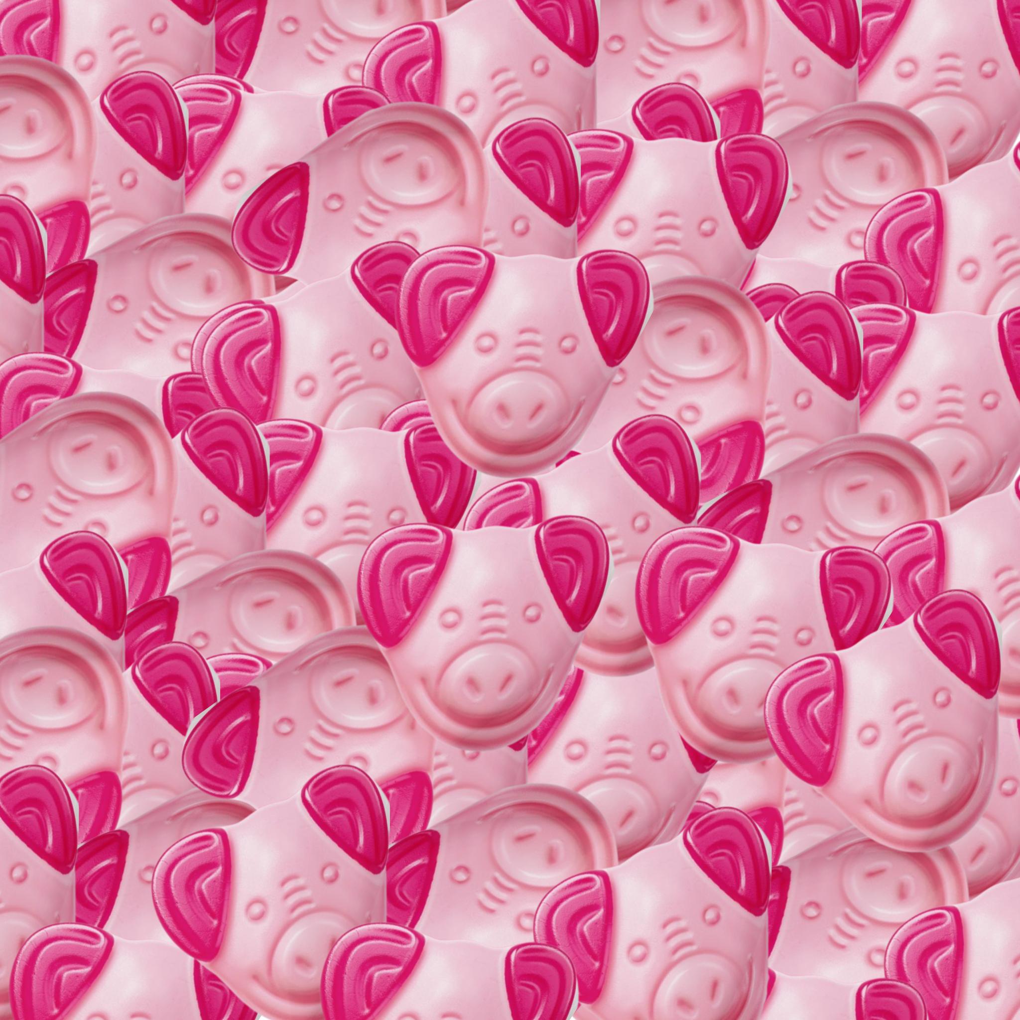 Piglets - 500g (while supplies last)